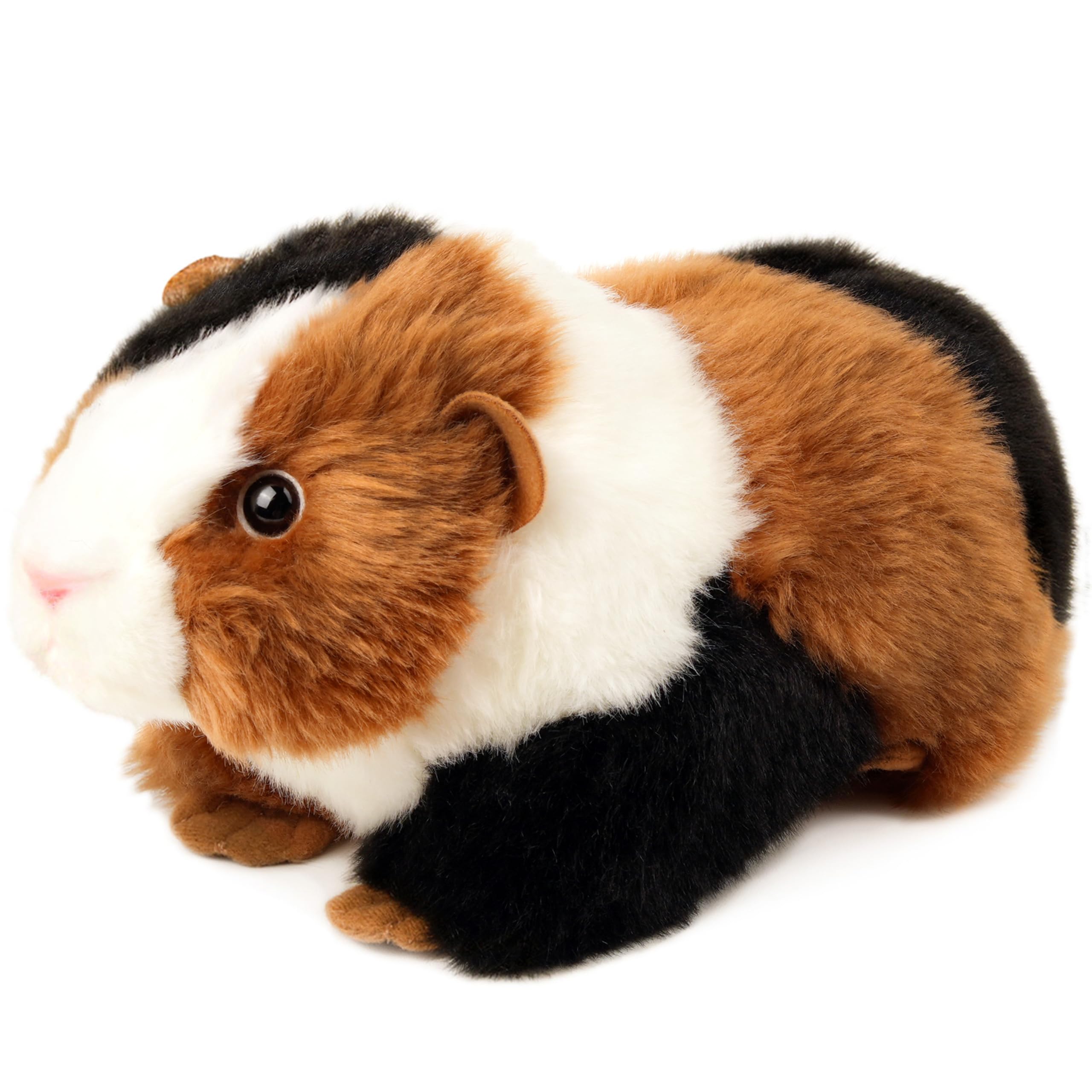 Amazon.com: TigerHart Gianni The Guinea Pig - 9 Inch Stuffed